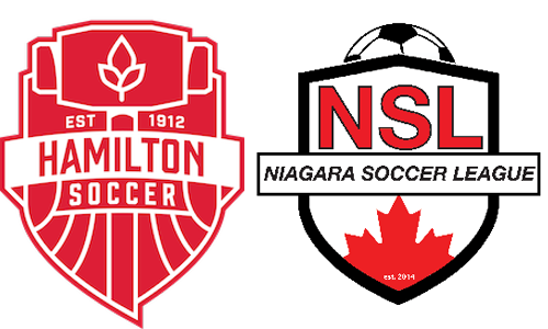 South Soccer League logo